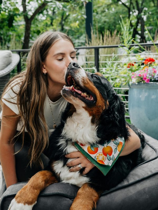 pexels-impact-dog-crates-1789722873-28948930